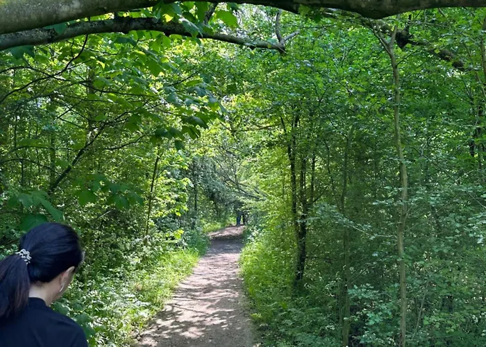 Appartement Het Spoel *